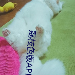 荔枝色版APP