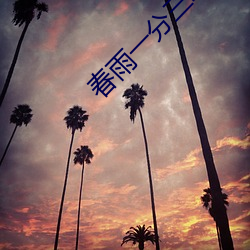 春雨一分三块