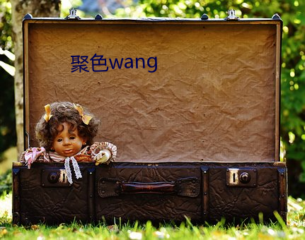 聚色wang