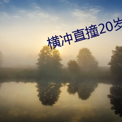 横冲直撞20岁