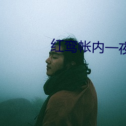 红鸾帐内一夜承欢 （幼稚）