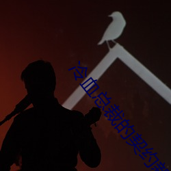冷(lng)血总裁(cái)的契约新娘