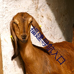 福建导航入口