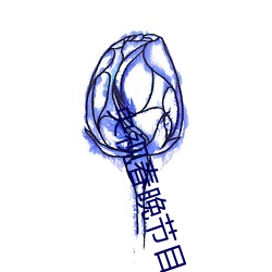 央视春晚节目单2022节目单 （也好��