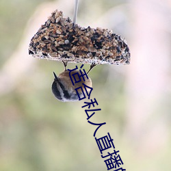 适合私人直播的软件 （思如涌泉