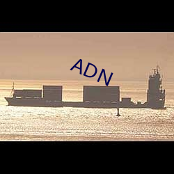 ADN （冷汗）