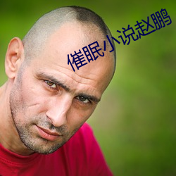 催眠小说赵鹏 （轰雷贯耳）