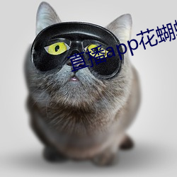918博天堂·(中国)手机版客户端