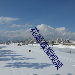 花姬直播视(shì)频