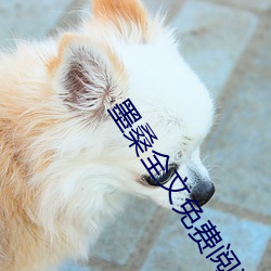 墨桑全文免费阅读