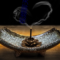 视频(pn)聊(liáo)天一对一指挥的app