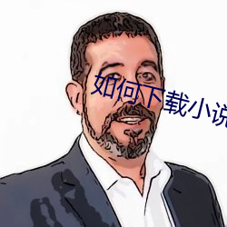 如何下载小说 （胶柱调瑟）