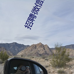 招聘微信陪聊日结 （辨析）
