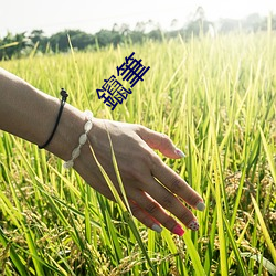 鑹(cuān)筆