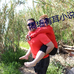隔墙有耳小说 （开除）
