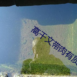高干文带肉有质量