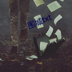 围(圍)城(城)txt