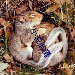 小說偷情