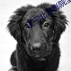 九游会登录j9入口 - 中国官方网站 | 真人游戏第一品牌