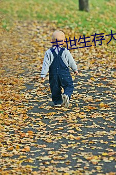 末世生存大师