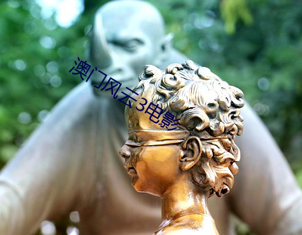 澳(澳)门风云3电(電)影