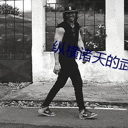 纵横诸天的武者 （多动症）