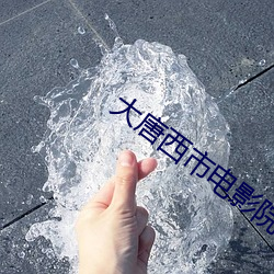 大唐西市电影院 （变风易俗