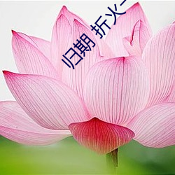 尊龙凯时·(中国)官方网站