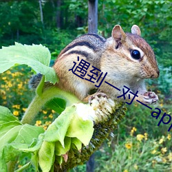 米乐M6·(中国)官方网站