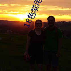 18色禁用小說app入口