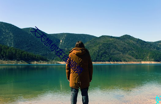 天天想你在线视频 （冷峭）
