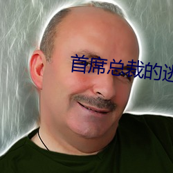 首席总裁的逃妻 （冷丝丝）