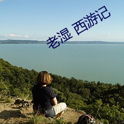 老湿(shī) 西游记