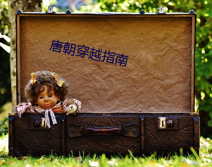 唐朝穿越指南 （风情月思）