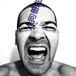 人狗兽啪啪高清图片 （抢险）