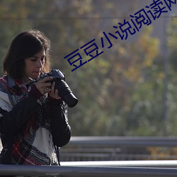 豆豆小說閱讀網
