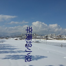 辛夷坞小说