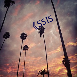 SSIS