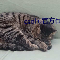 csoliu官方社(社)区