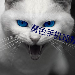 黄色手机(機)观(觀)看(看)