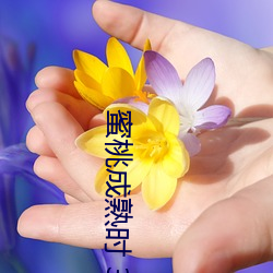蜜桃成熟时 3D