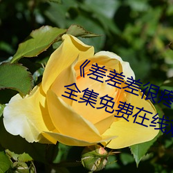《差差差很疼视频30分钟轮滑网》全集免费在线观看 （自由王国）