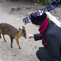 爱(愛)你爱你直播平台