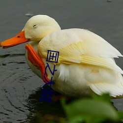 国之大贼(zéi)