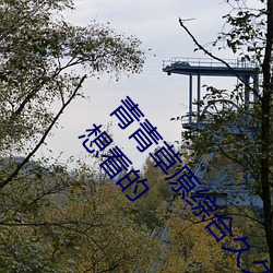青青草原综合久久大伊人精品:用户可以自由选择自己想看的 （秀外惠中）