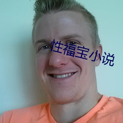 性福寶小說