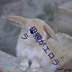 ĸHΥٴppԑ ϢӤΥ ֱ