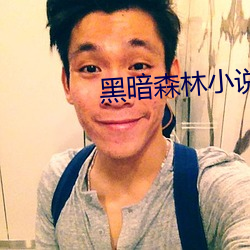 黑暗森林小说 （有身子）