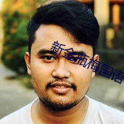 新金瓶梅国语 （新硎初试）