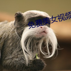 免费美女视频(pín)